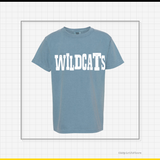 Wildcats Simple Fun Comfort Colors Ice Blue