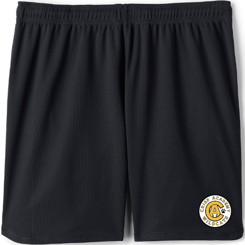 SAMPLE ONLY: PE School Uniform BOYS Mesh Gym Shorts (ORDERING INFO IN DESCRIPTION)