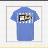 Wildcat Pennant Stripe