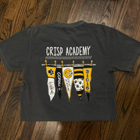 Wildcats Pennant Tshirt (Comfort Colors)