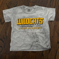 Wildcats Colorblast Sport Design Tshirt (Comfort Colors)